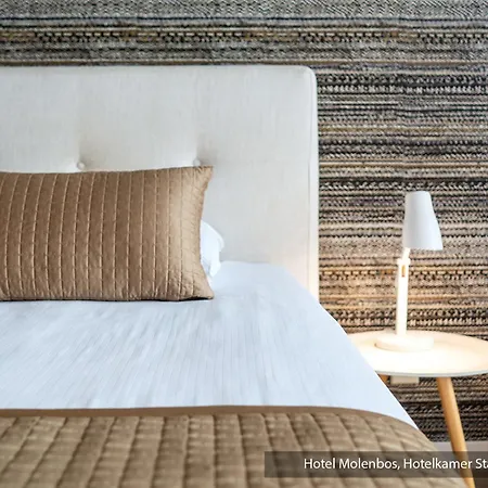 Hotel Molenbos Texel De Cocksdorp (Texel)