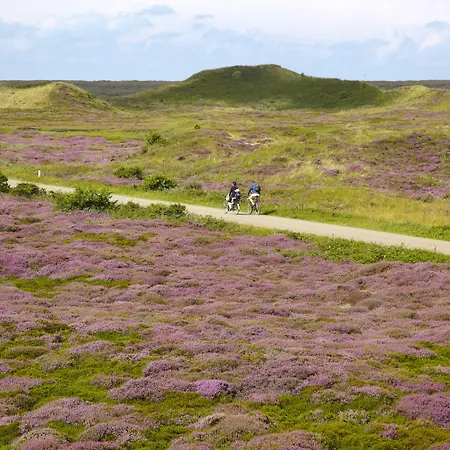 Molenbos Texel De Cocksdorp