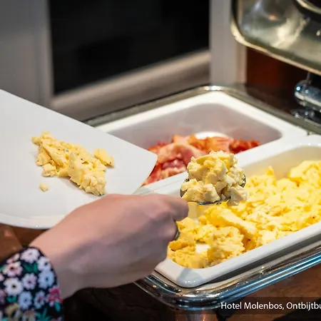 Molenbos Texel דה קוקסדורפ