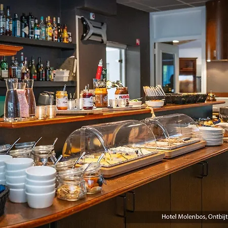 Molenbos Texel מלון 3*