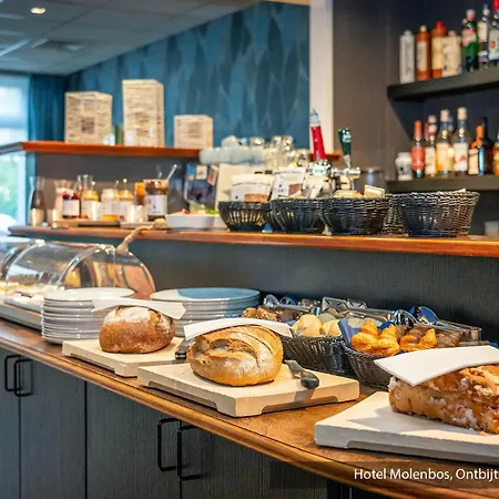 Molenbos Texel דה קוקסדורפ