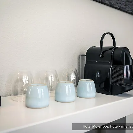 Molenbos Texel מלון