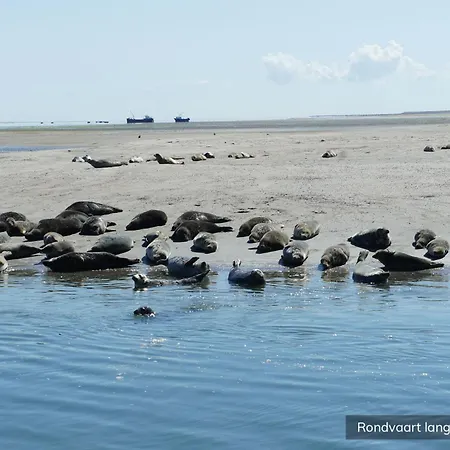 Molenbos Texel 3* De Cocksdorp (Texel)