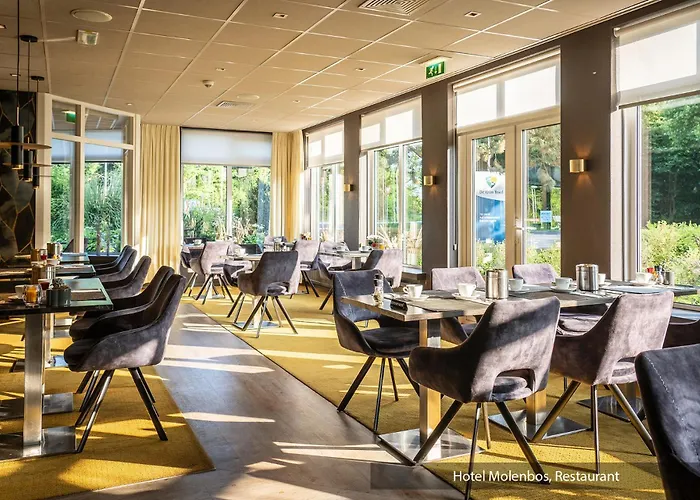 Hotel Molenbos Texel De Cocksdorp (Texel)