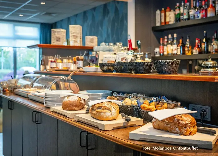 Molenbos Texel De Cocksdorp (Texel)